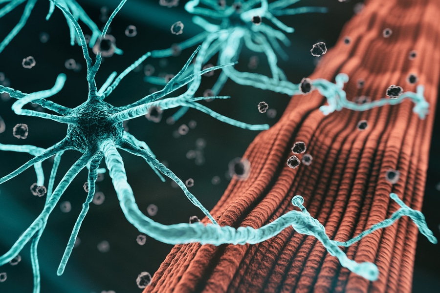 Epigenomic analysis sheds light on risk factors for ALS